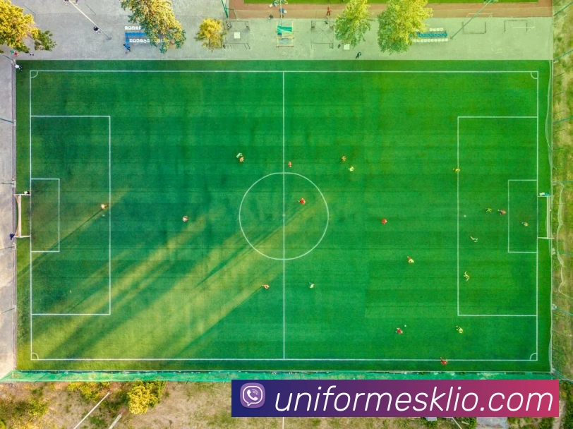 mksports体育官方APP 封面图